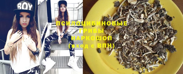 ПСИЛОЦИБИНОВЫЕ ГРИБЫ Алексеевка