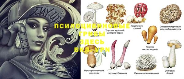 ПСИЛОЦИБИНОВЫЕ ГРИБЫ Алексеевка