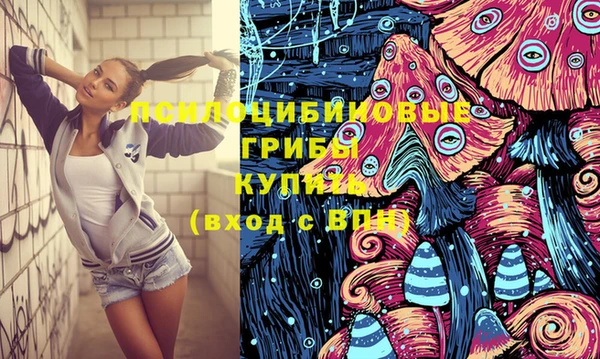 ПСИЛОЦИБИНОВЫЕ ГРИБЫ Алексеевка
