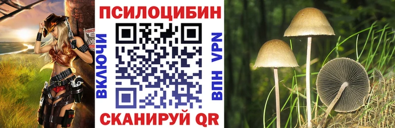 Псилоцибиновые грибы ЛСД  цена наркотик  Палласовка 